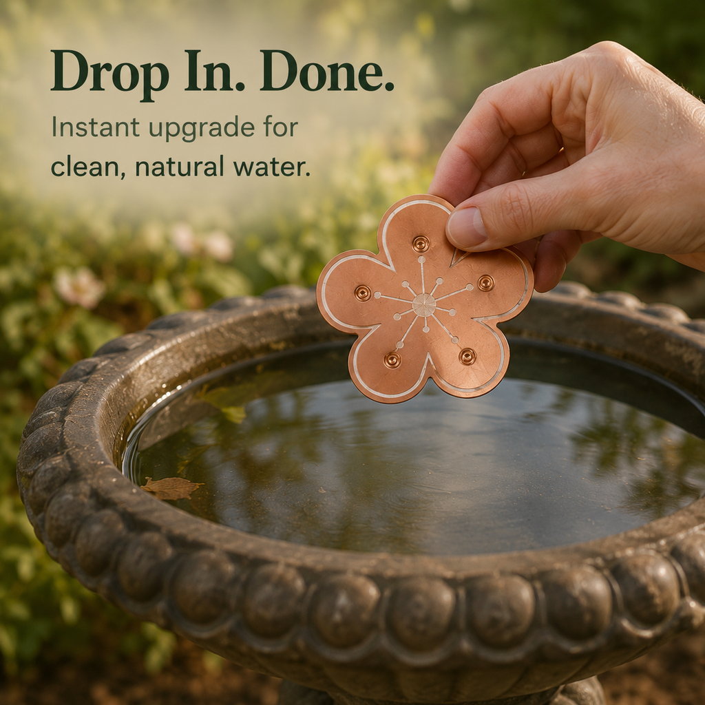 Copper Bird Bath Algae Control Disc for Cleaner Water