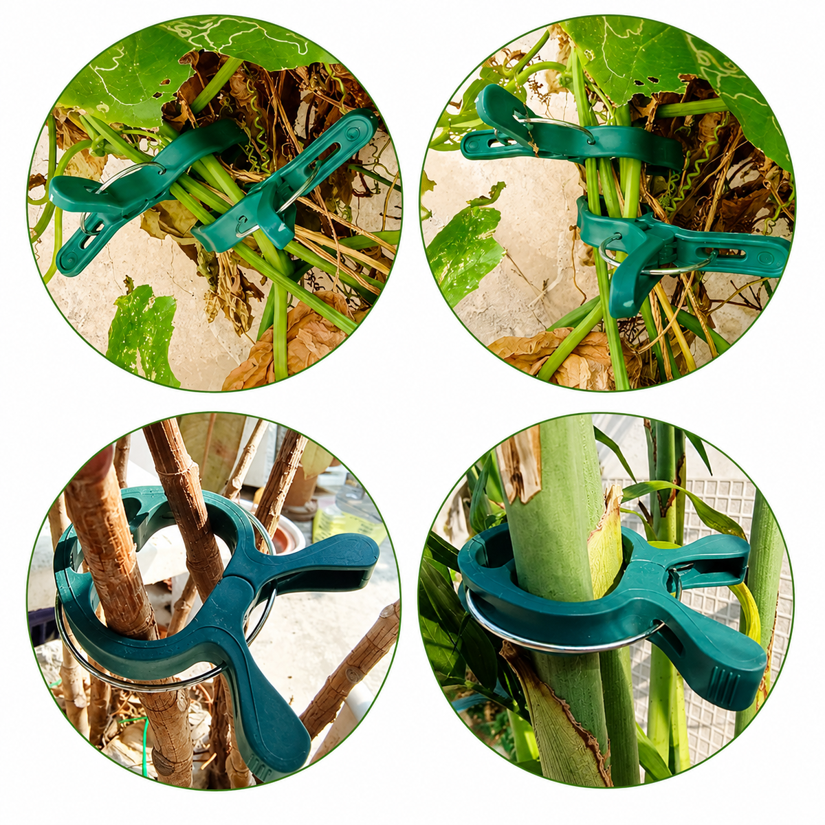 20PCS Plant Support Clips for Garden Stakes and Climbing Plants