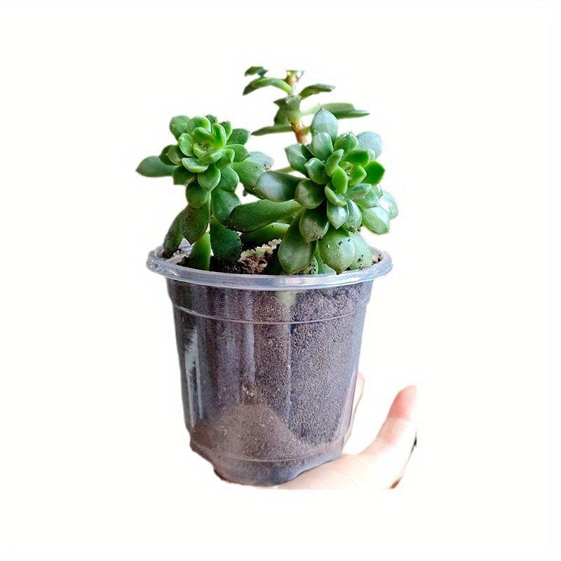15 pack Transparent Seedling Pots for Easy Root Monitoring and Growth