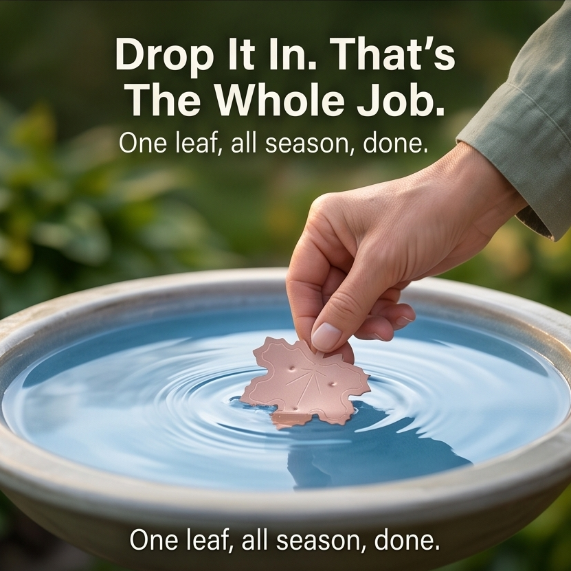 Pure Copper Leaf Bird Bath Purifier for Algae Control