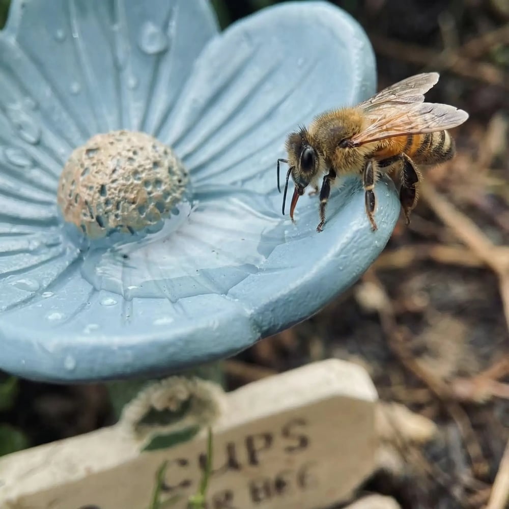 Flower Shaped Bee Watering Station for Garden and Outdoor Use