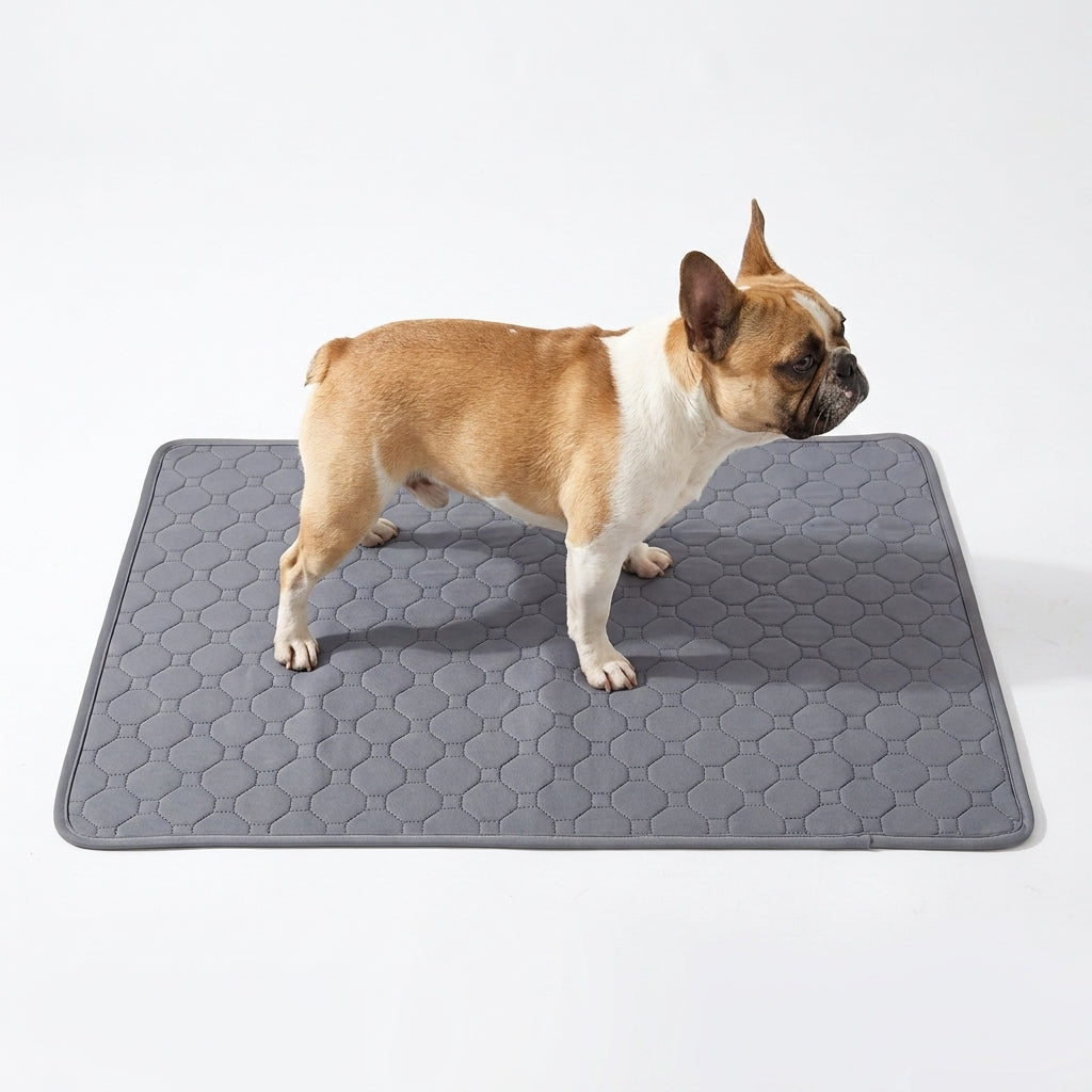 Reusable Washable Dog Pee Pad Waterproof Absorbent Puppy Training Mat – product image 10
