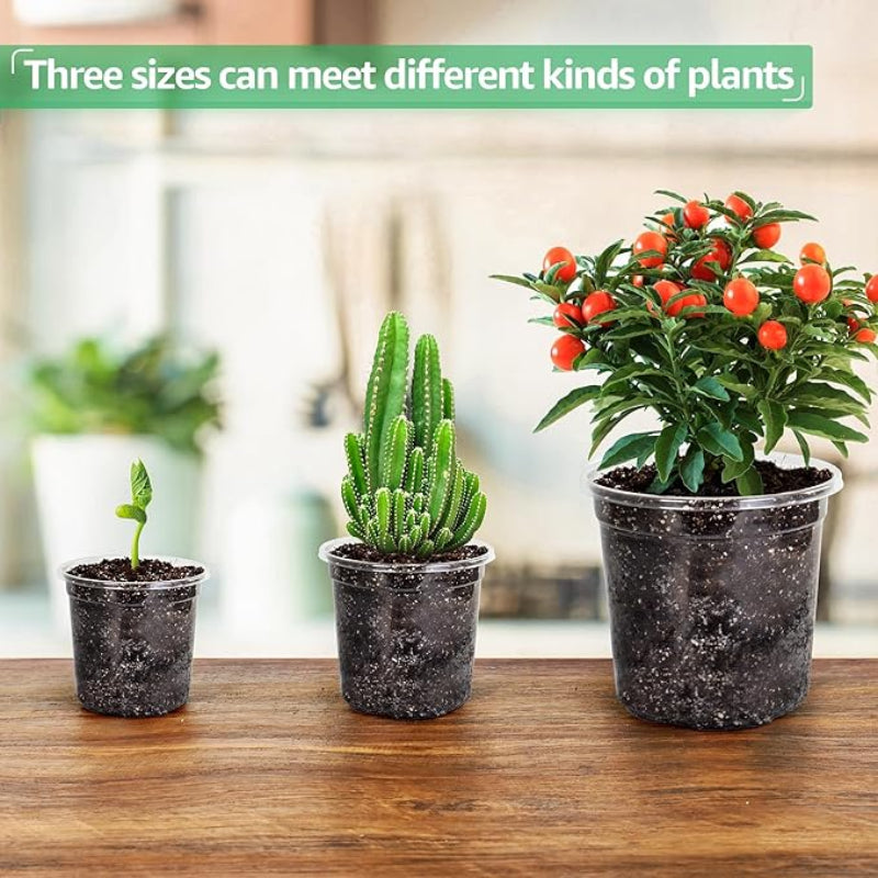 15 pack Transparent Seedling Pots for Easy Root Monitoring and Growth