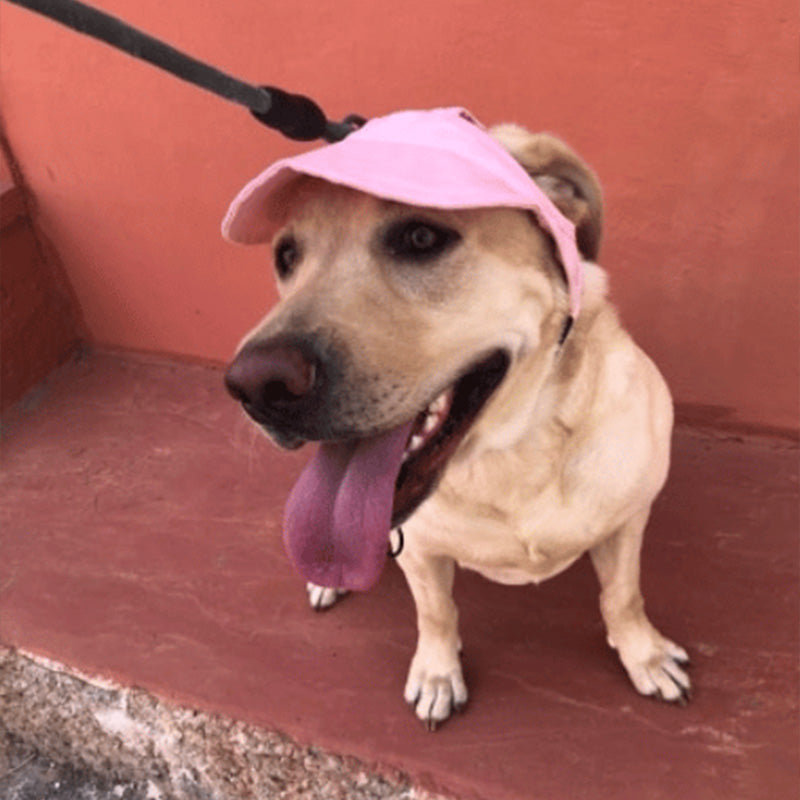 Maetiva | Dog hat