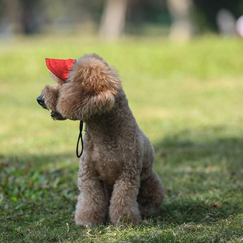 Maetiva | Dog hat