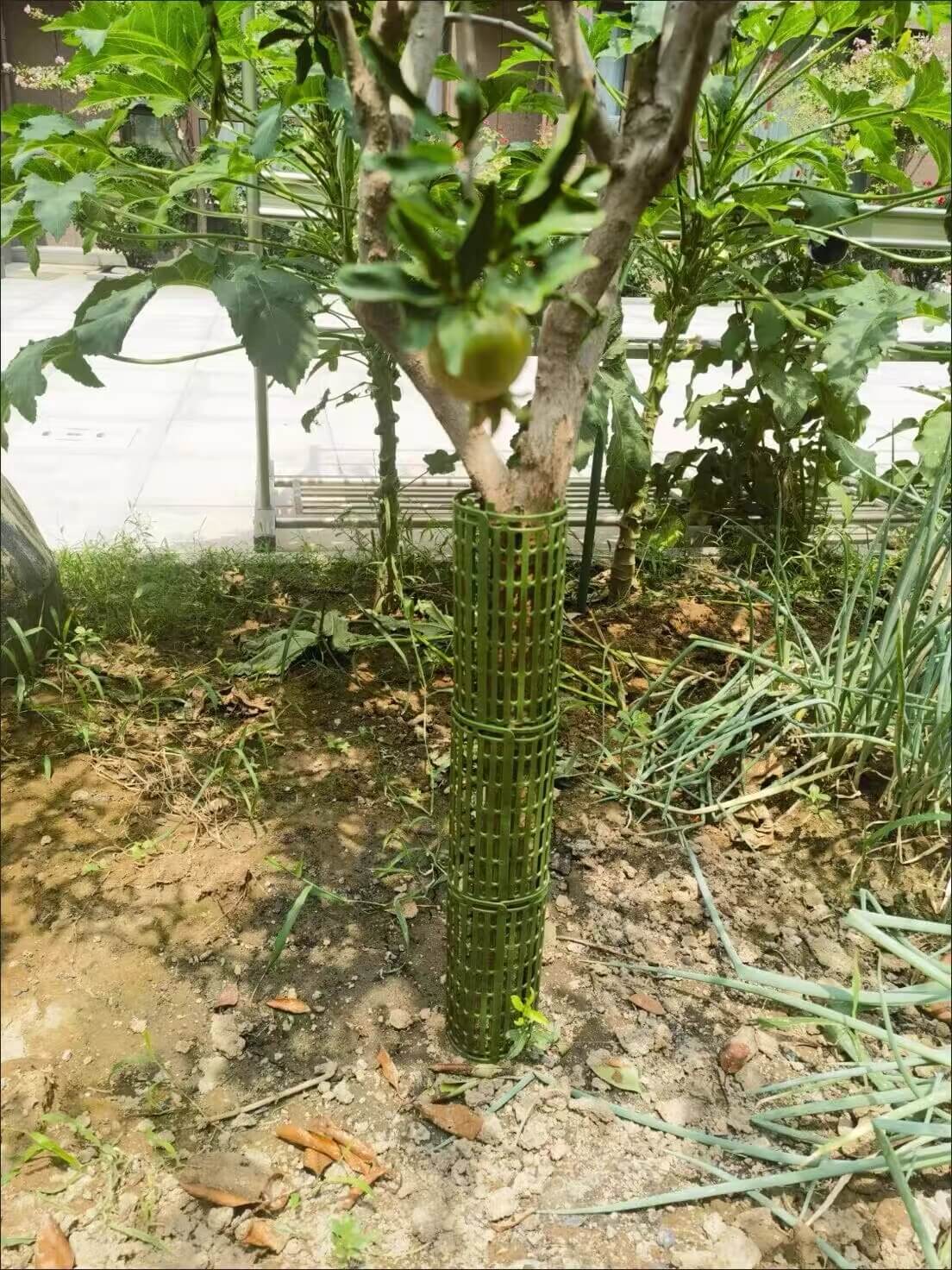Tree Guards for Trees - Plastic Tree Trunk Protector to Protect Against Deer, Rabbits & Squirrels | Cultiuana