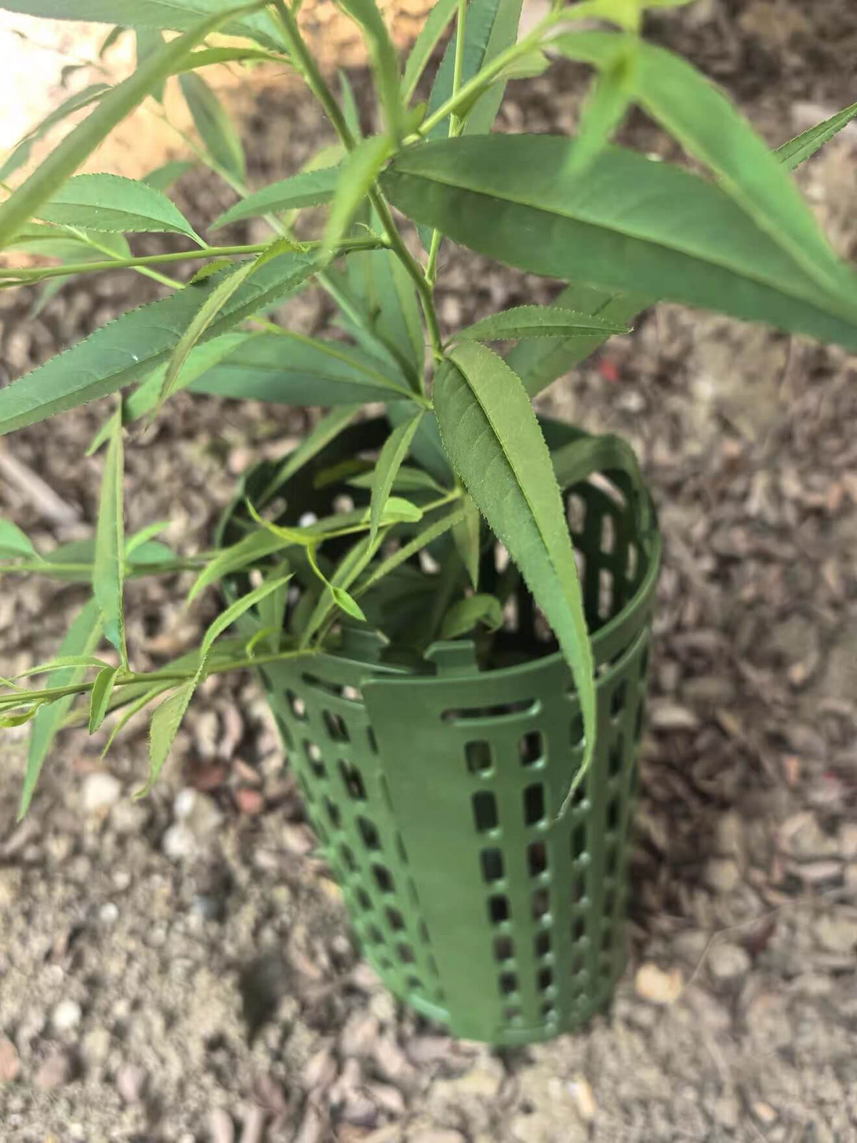Tree Guards for Trees - Plastic Tree Trunk Protector to Protect Against Deer, Rabbits & Squirrels | Cultiuana