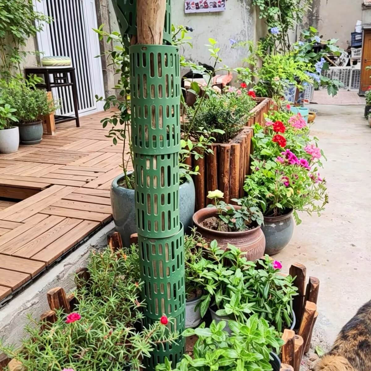 Tree Guards for Trees - Plastic Tree Trunk Protector to Protect Against Deer, Rabbits & Squirrels | Cultiuana