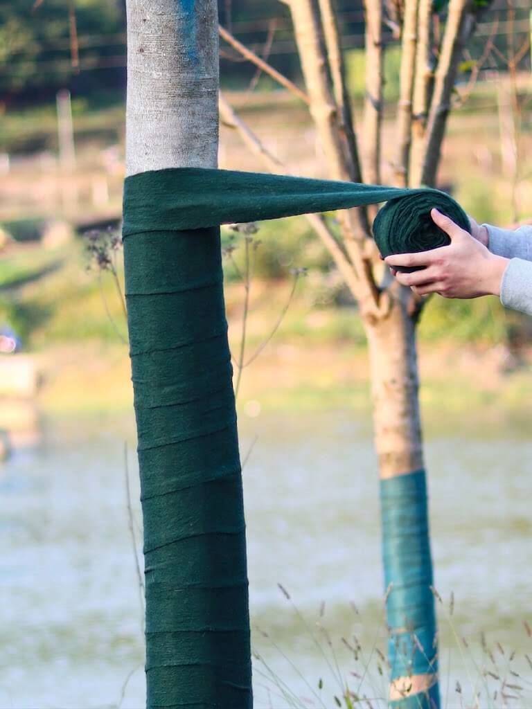 Breathable Tree Wrap for Winter – 3-Layer Trunk Protector | Cultiuana